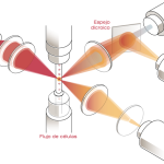 procyte-laserflow-cytometry