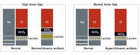 anion-gap-bar-chart