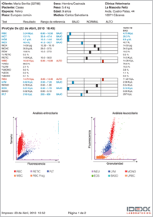 ivls-report-pancreatitis1