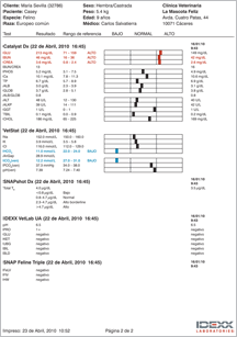ivls-report-pancreatitis2