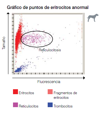 procyte-rbc-dotplot