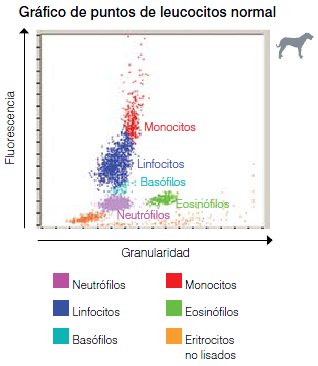 procyte-wbc-dotplot